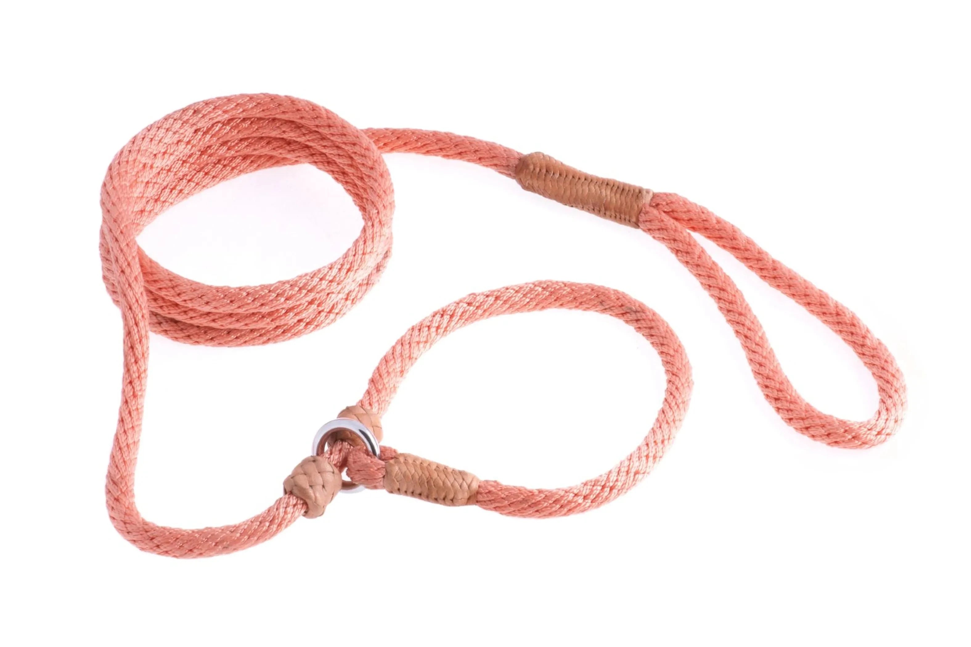 Nylon Slip Leash With 2 Stoppers (6ft x 5/16in or 8mm) by Pet Care