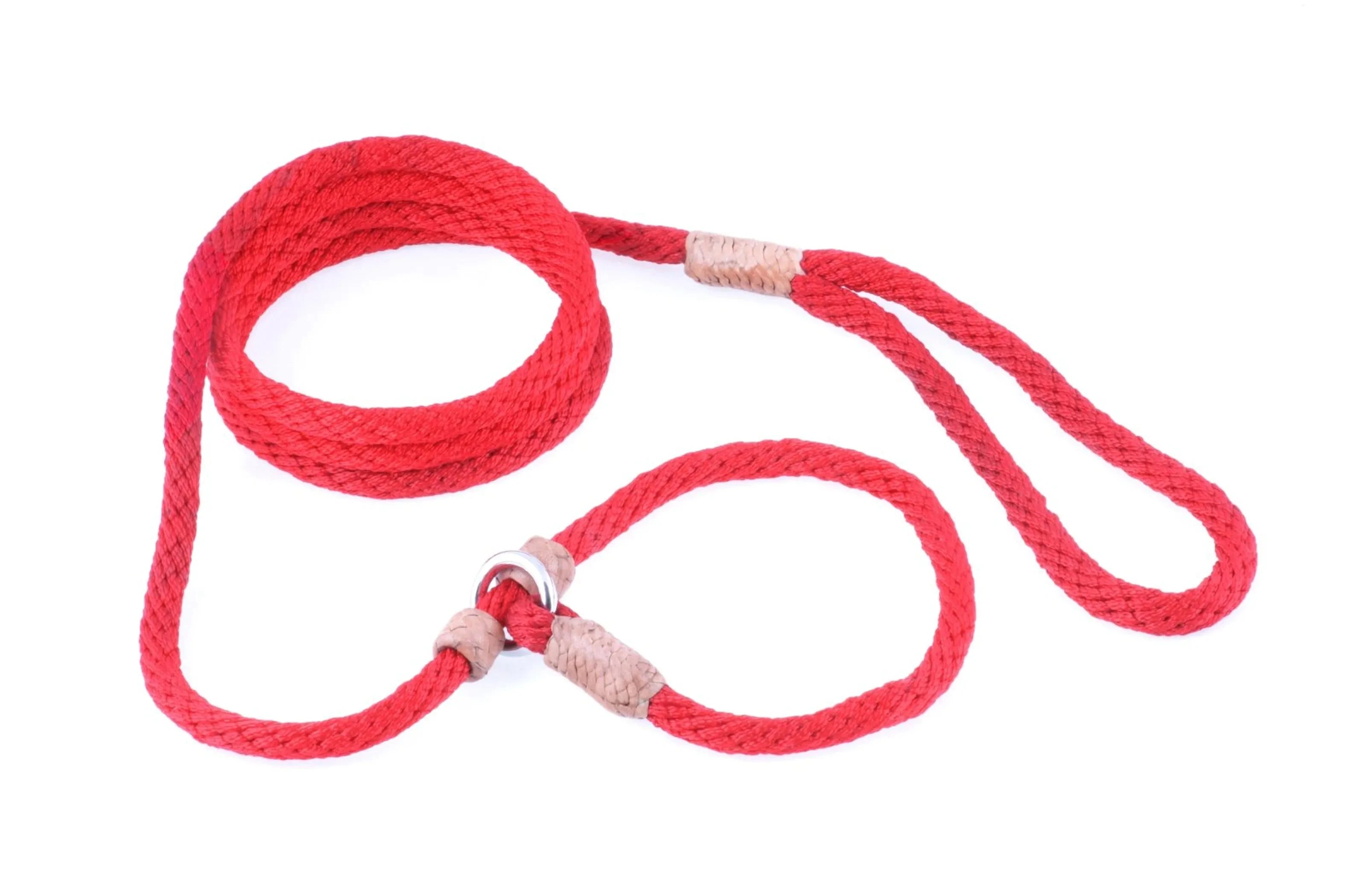 Nylon Slip Leash With 2 Stoppers (6ft x 5/16in or 8mm) by Pet Care