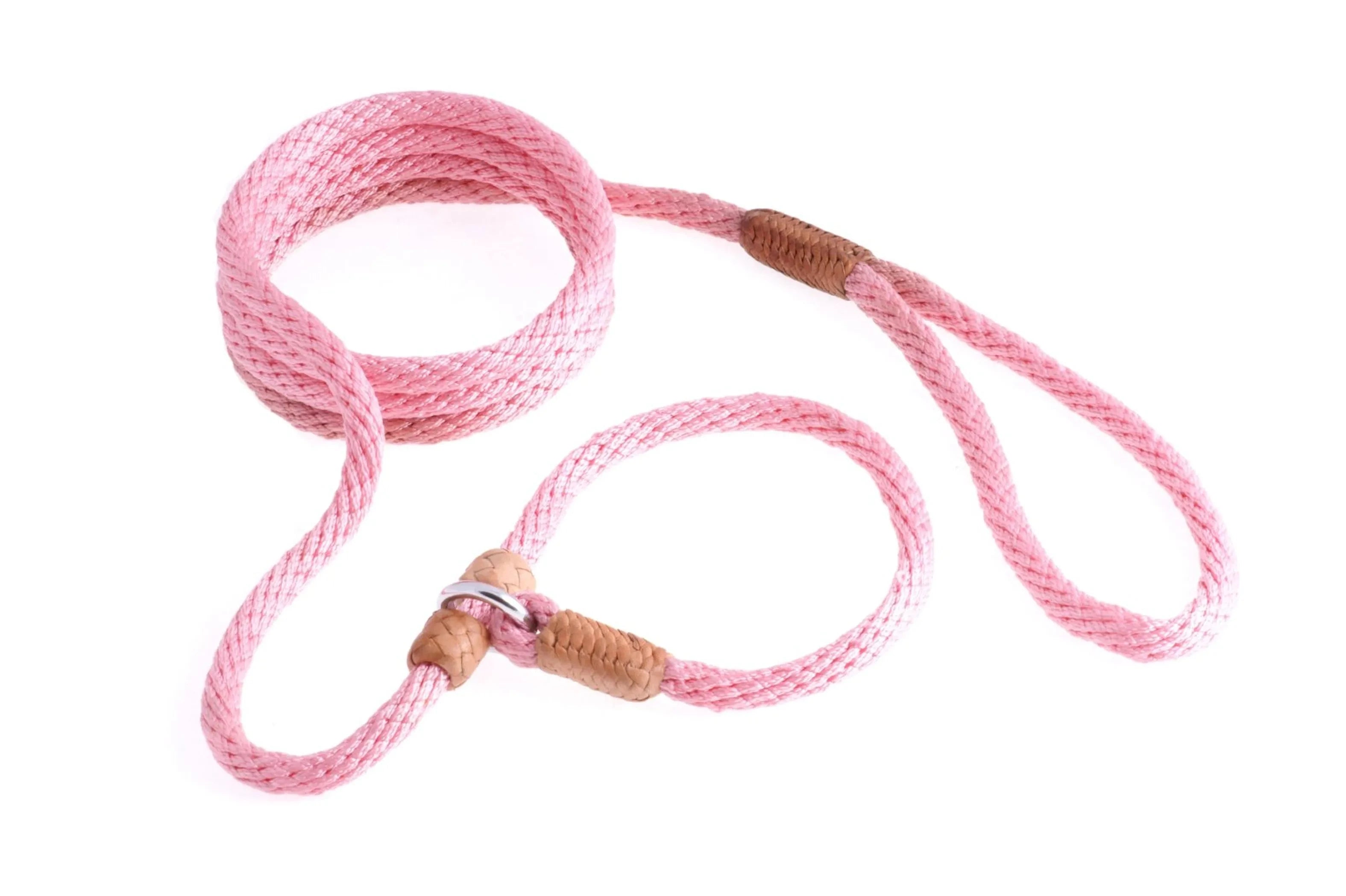 Nylon Slip Leash With 2 Stoppers (6ft x 5/16in or 8mm) by Pet Care