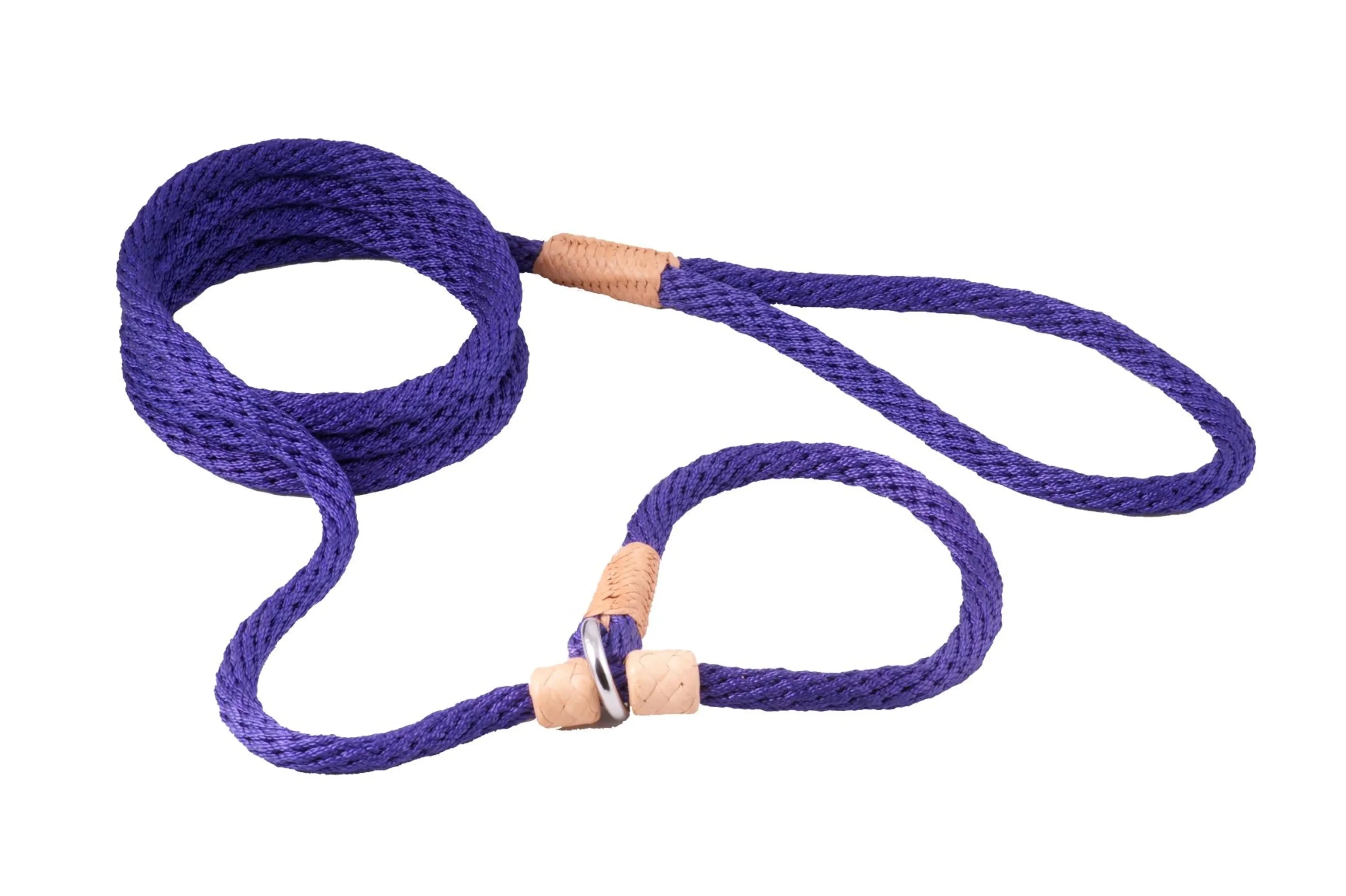 Nylon Slip Leash With 2 Stoppers (6ft x 5/16in or 8mm) by Pet Care