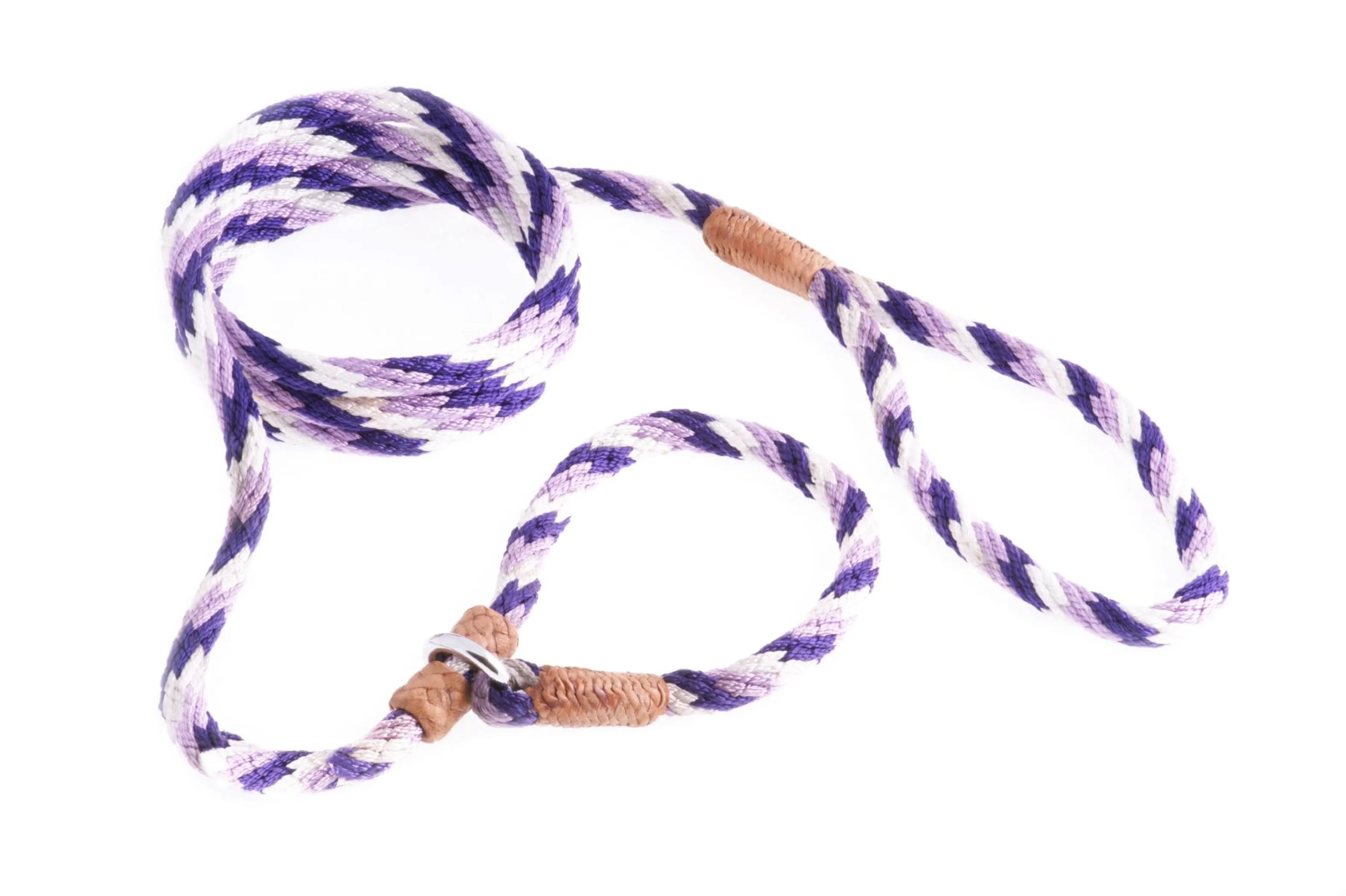Nylon Slip Leash With 2 Stoppers (6ft x 5/16in or 8mm) by Pet Care