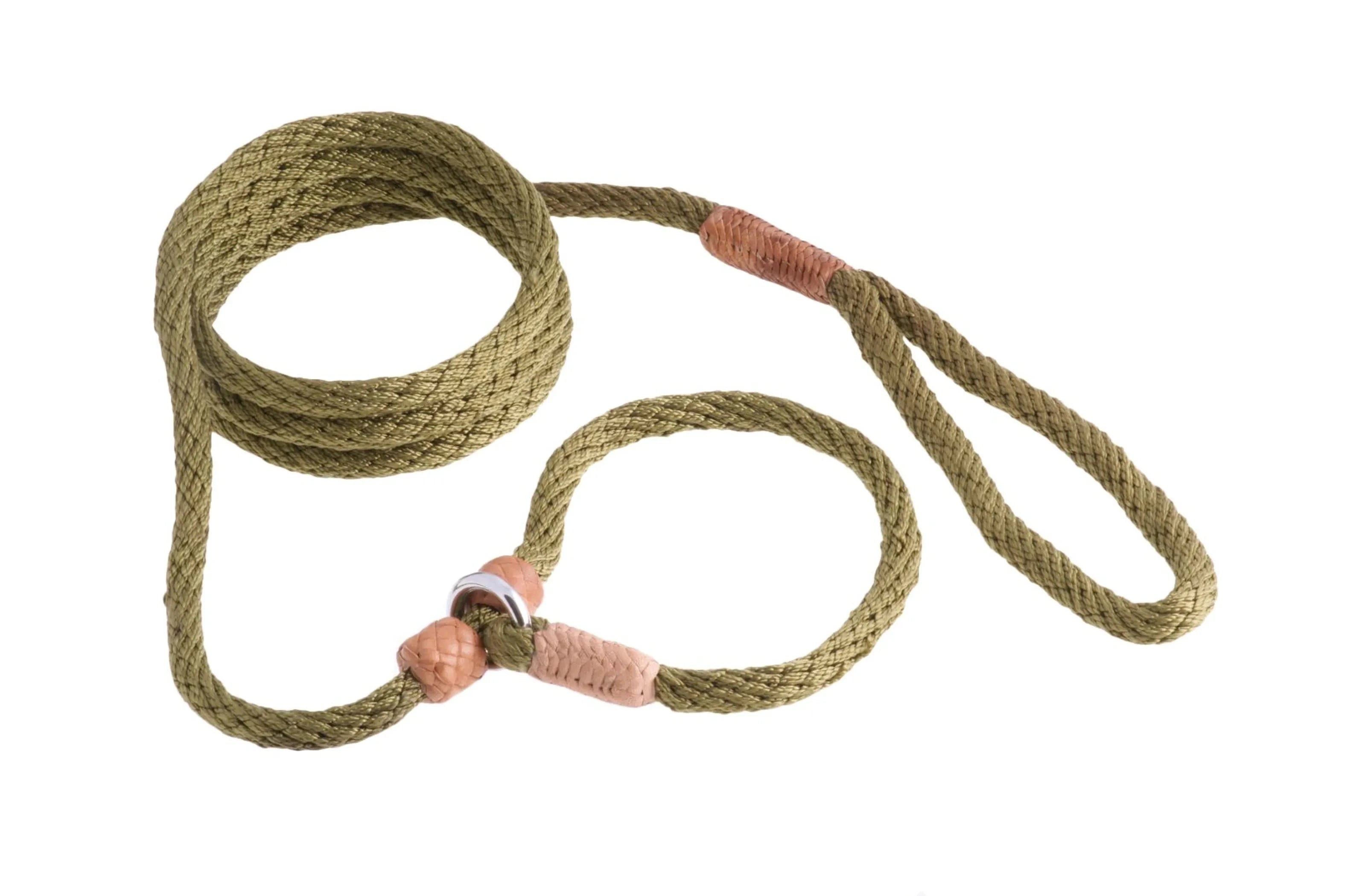 Nylon Slip Leash With 2 Stoppers (6ft x 5/16in or 8mm) by Pet Care