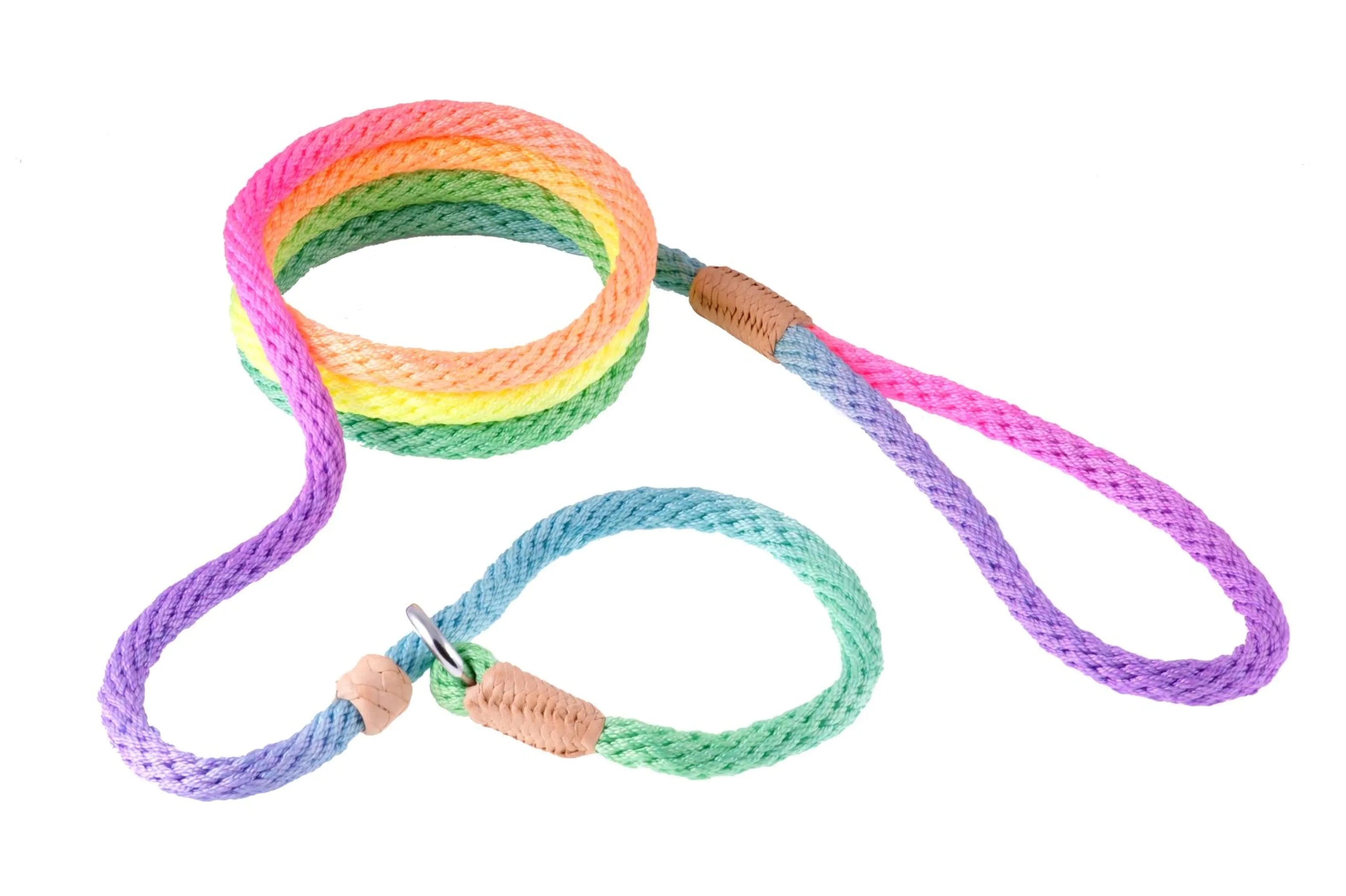 Nylon Slip Leash With 2 Stoppers (6ft x 5/16in or 8mm) by Pet Care