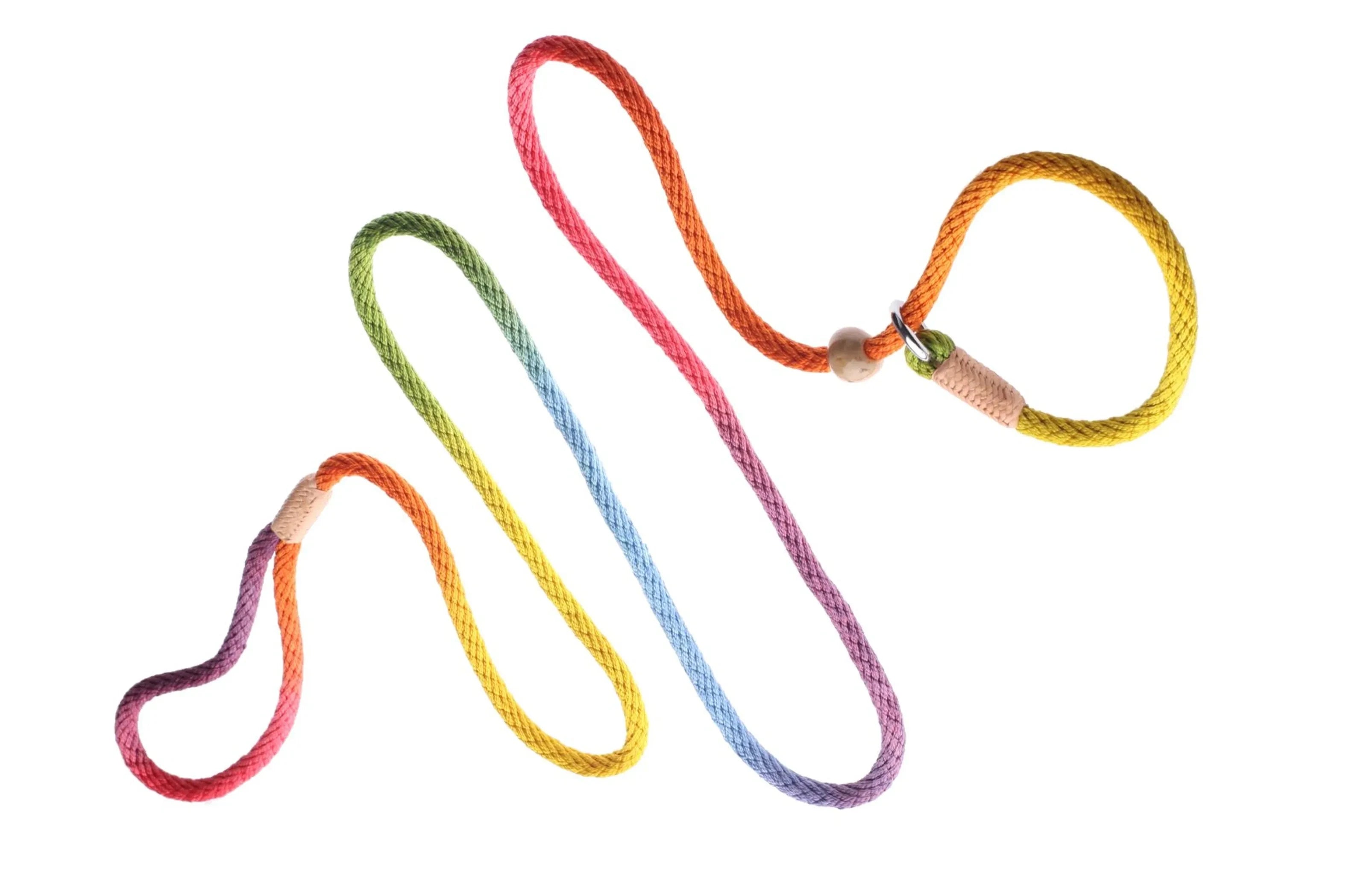 Nylon Slip Leash With 2 Stoppers (6ft x 5/16in or 8mm) by Pet Care