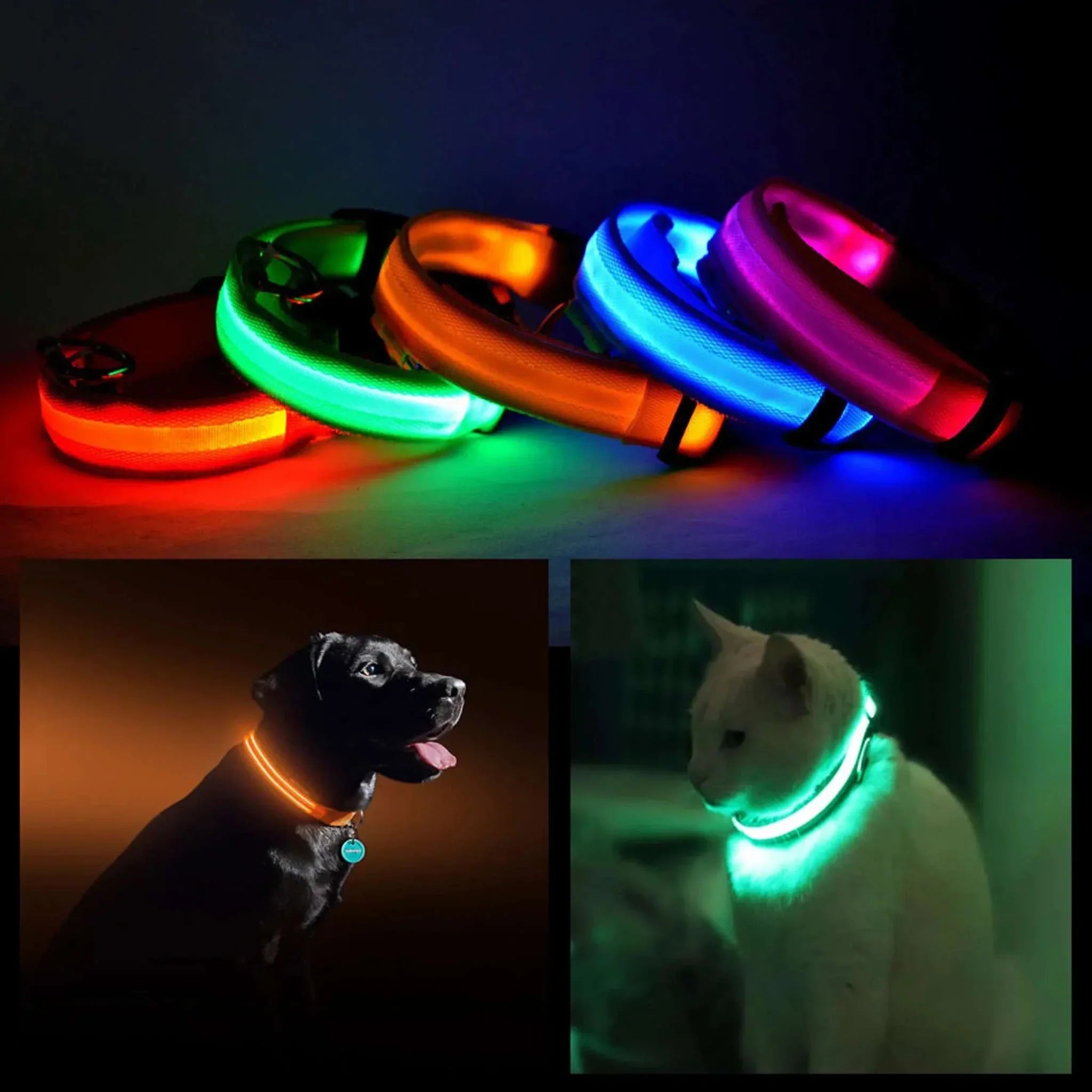Colorful LED PET Safety Halo Collars glowing in the dark with dog and cat wearing illuminated collars for nighttime safety