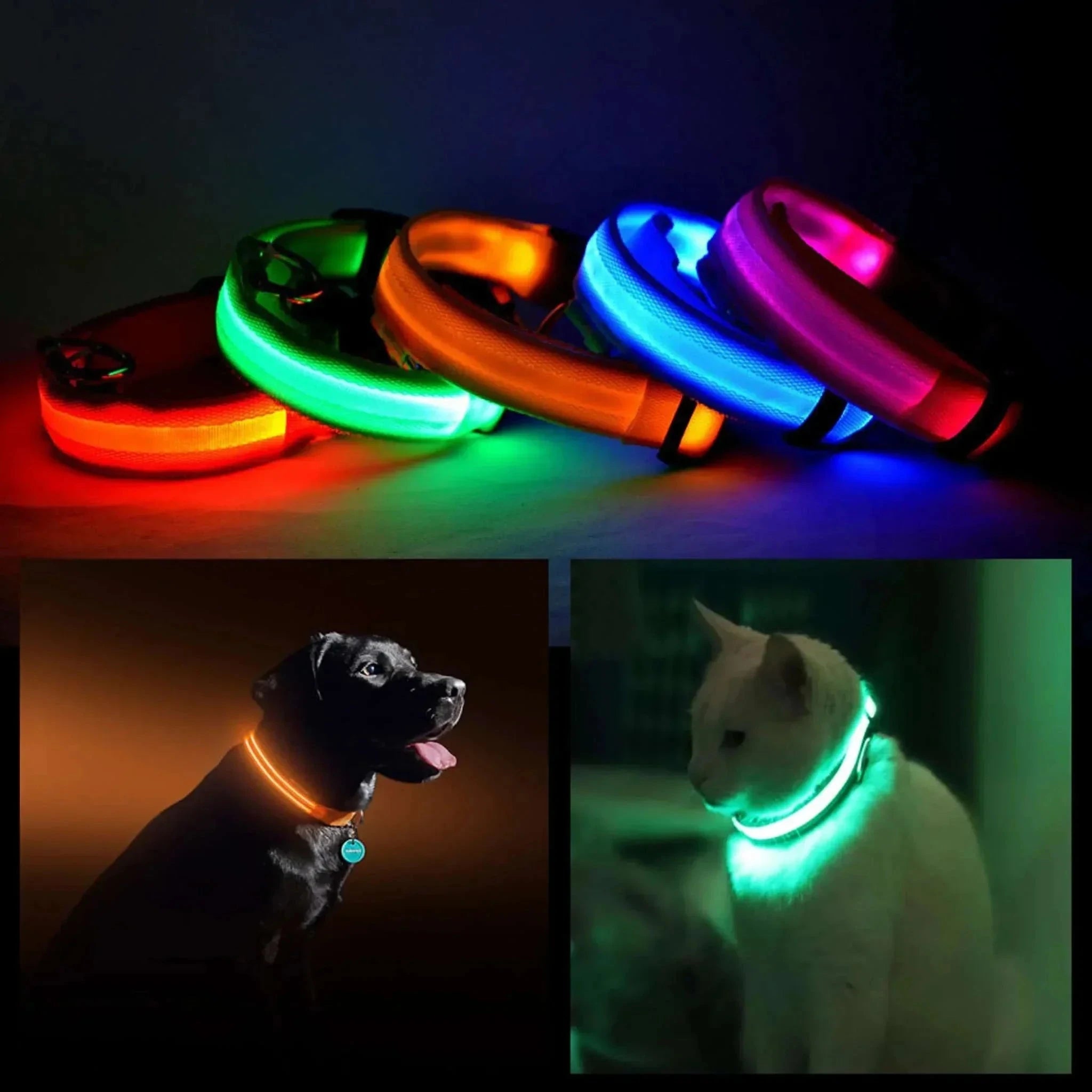 LED PET Safety Halo Style Collar - Pack Of: 1 by Pet Care