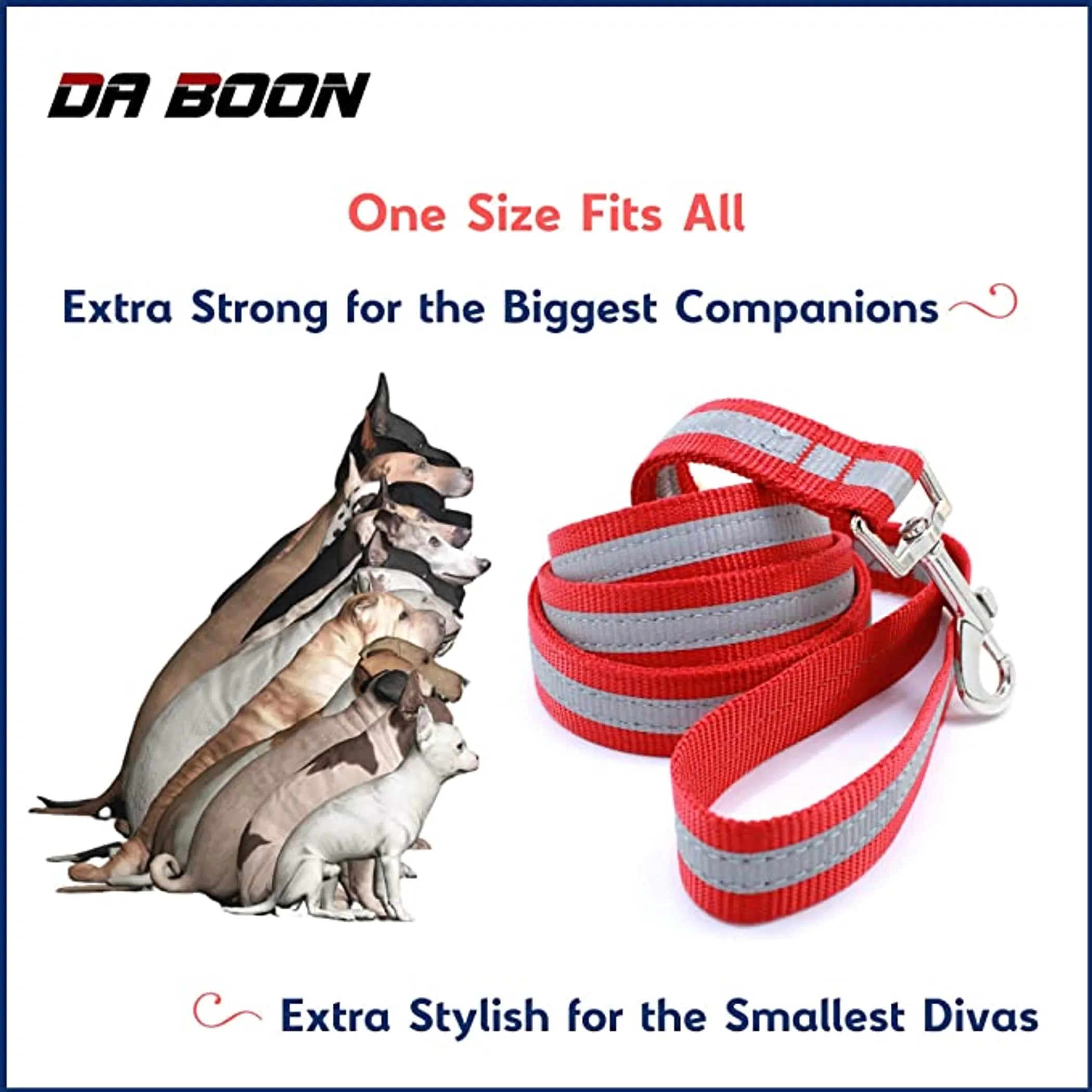 Da Boon Original Double-Sided Reflective Leash by Pet Care