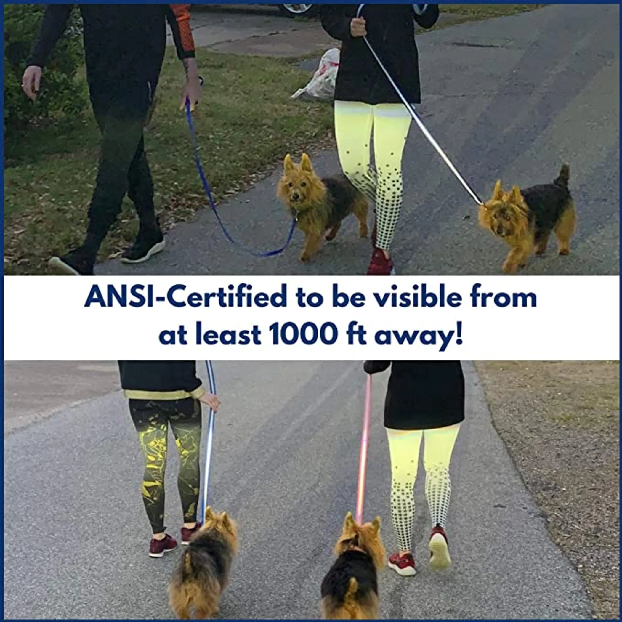 Da Boon Original Double-Sided Reflective Leash by Pet Care