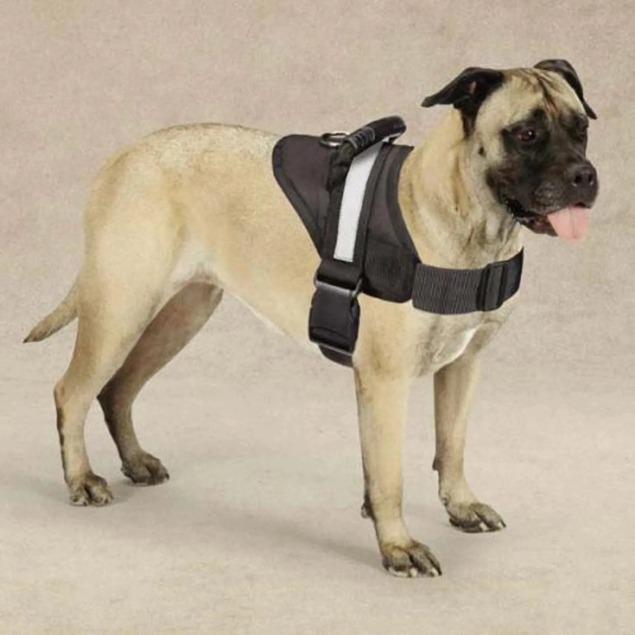 Guardian Gear Excursion Harnesses 36-46In by Pet Care