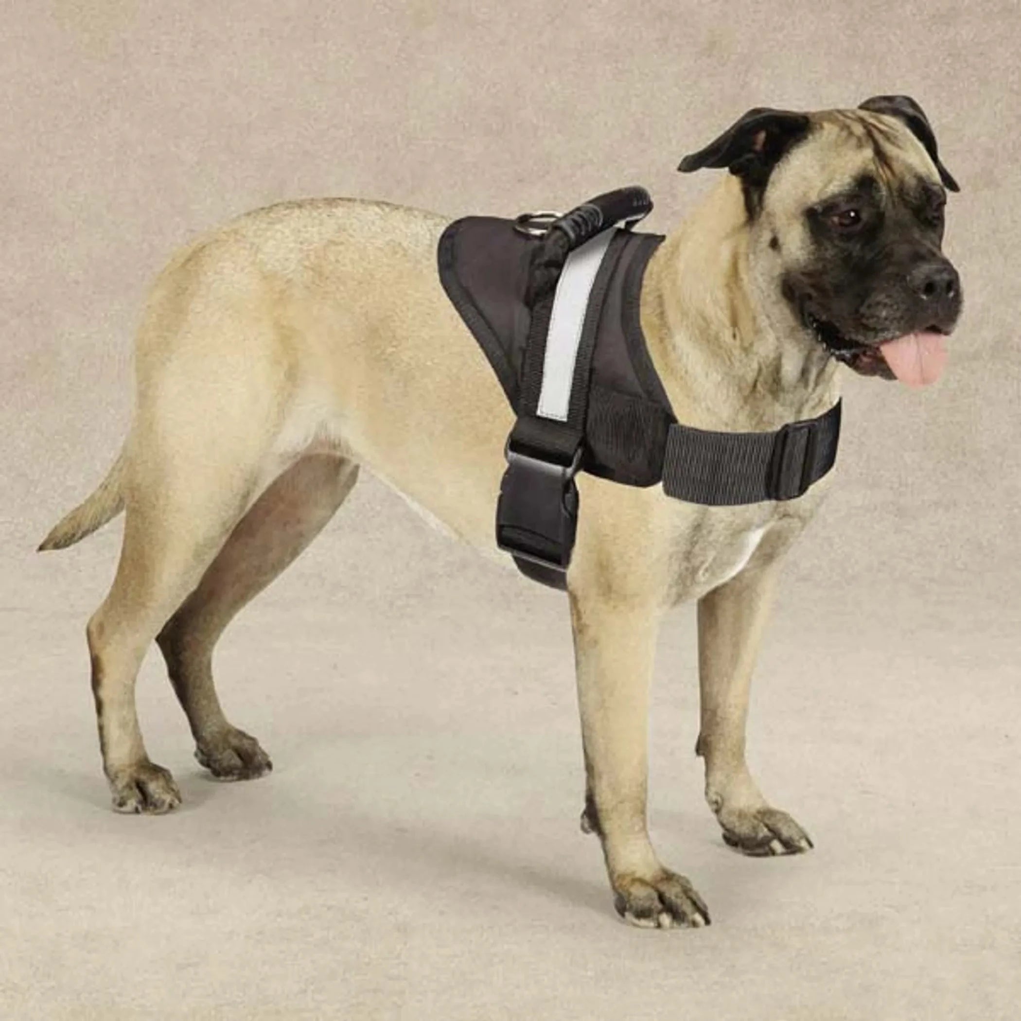 Guardian Gear Excursion Harnesses 36-46In by Pet Care