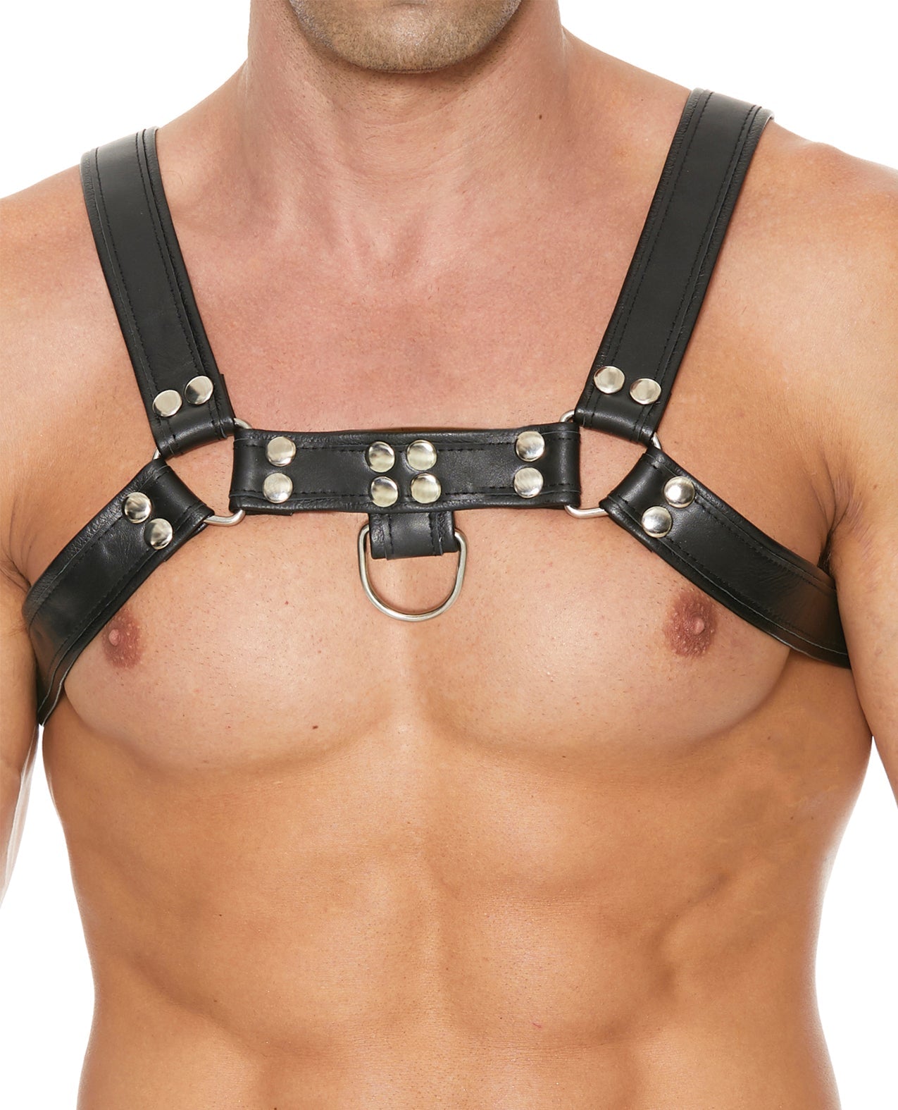 Shots Uomo Chest Bulldog Harness Large/XLarge - Black by Bondage & Fetish Toys