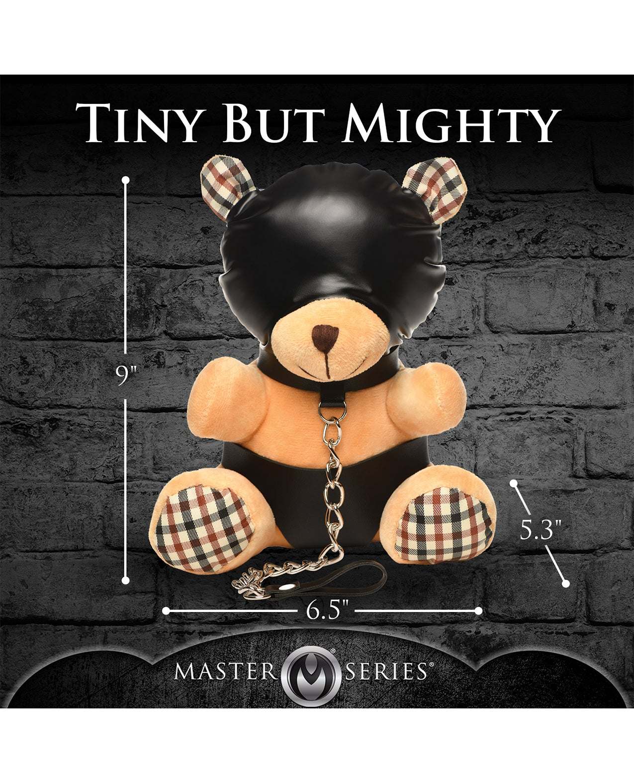 Master Series Hooded Teddy Bear Plush by Games, Novelties, & Party Supplies