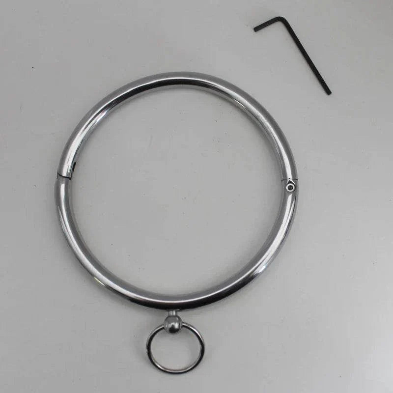 Silver stainless steel pet collar with attached D-ring and included hex key tool