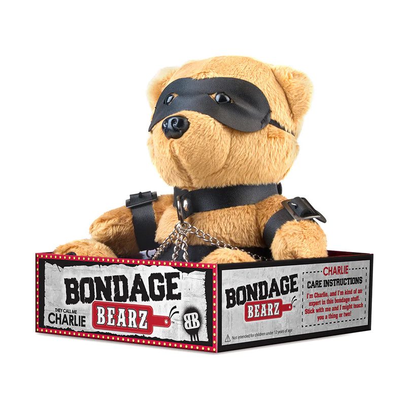 Bondage Bearz Charlie Chains plush teddy bear wearing black faux leather bondage accessories and mask in branded box