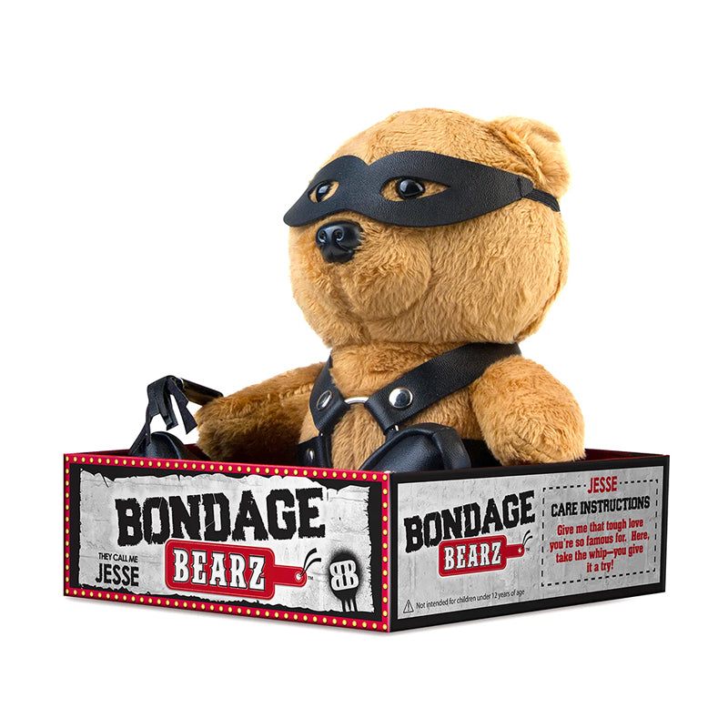 Bondage Bearz Freddie Flogger teddy bear in black faux leather bondage gear and eye mask with a flogger, seated in branded packaging box.