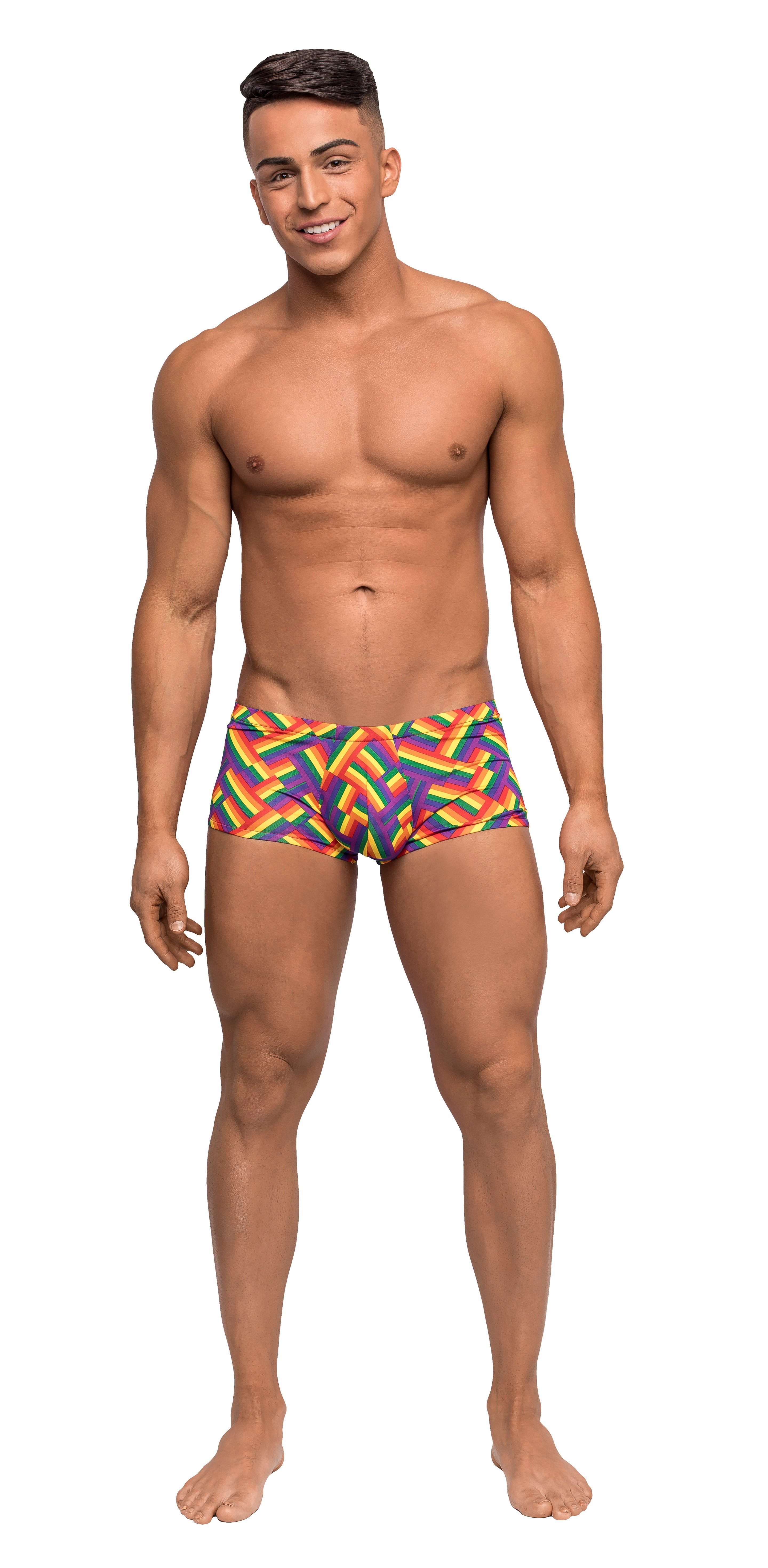 Pride Fest - Mini Short - Large - Print by Apparel