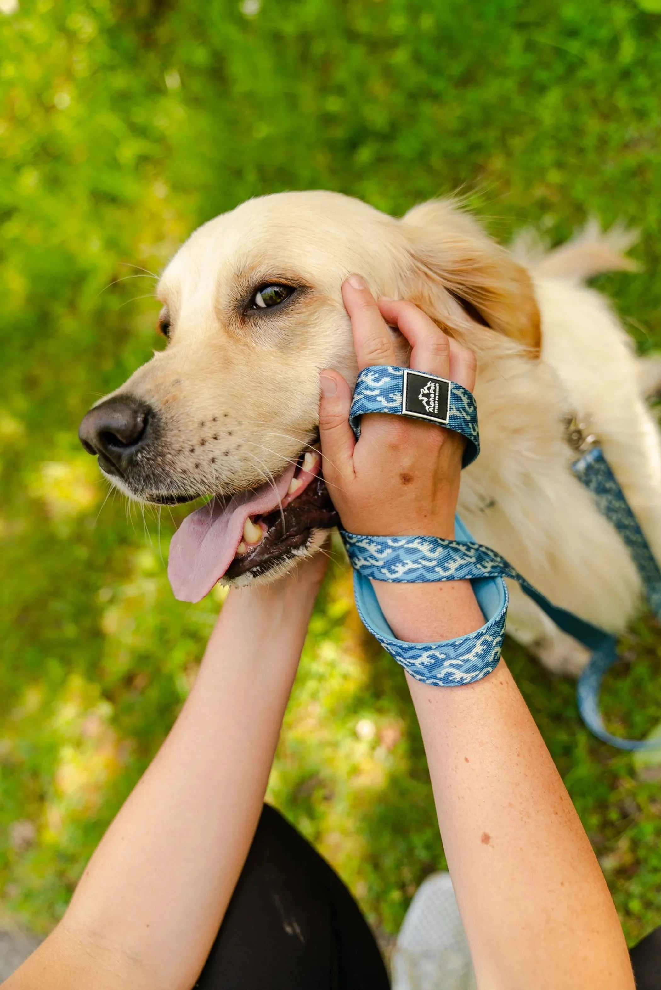 Tidal Pattern Flat Dog Leash by Pet Care