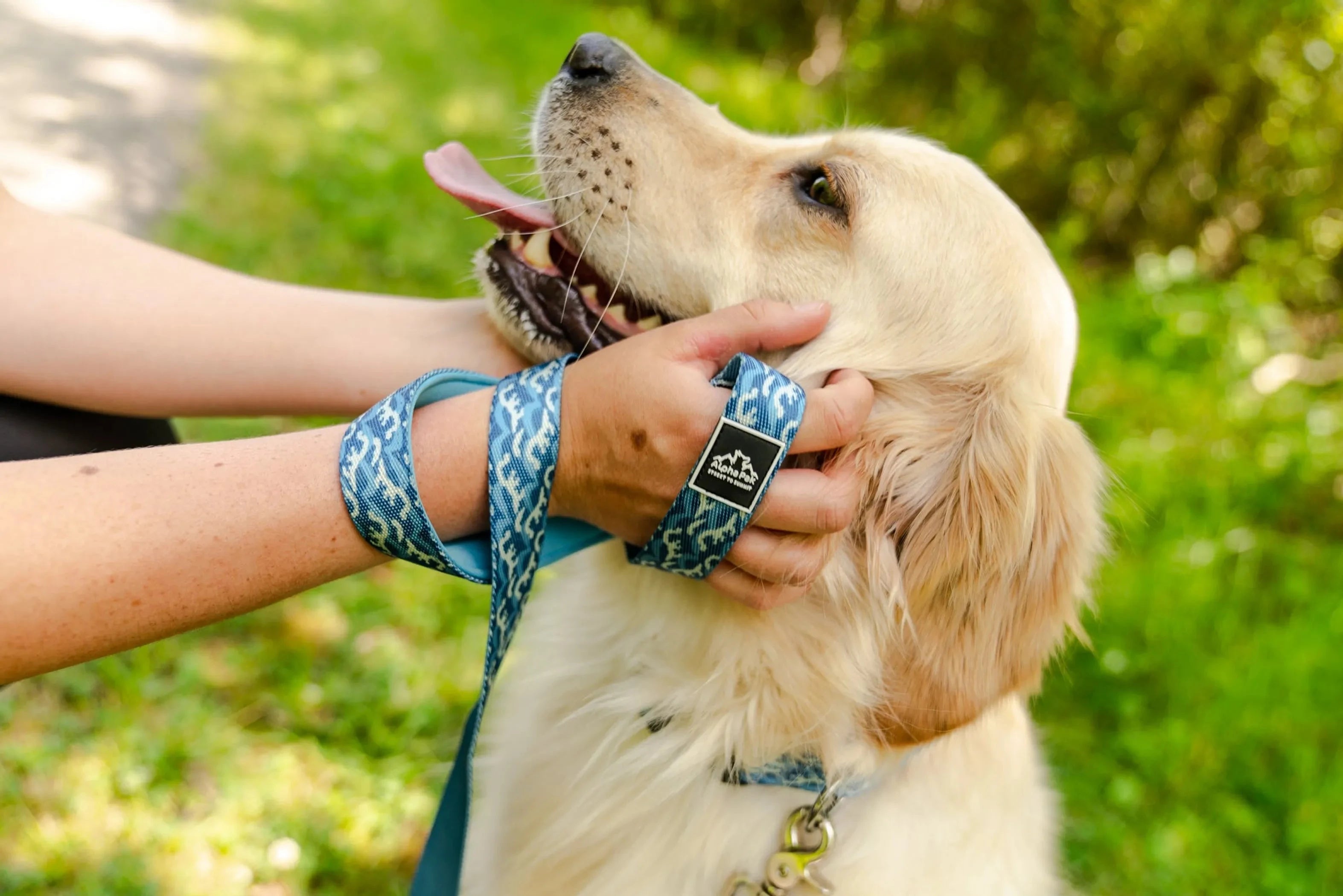 Tidal Pattern Flat Dog Leash by Pet Care