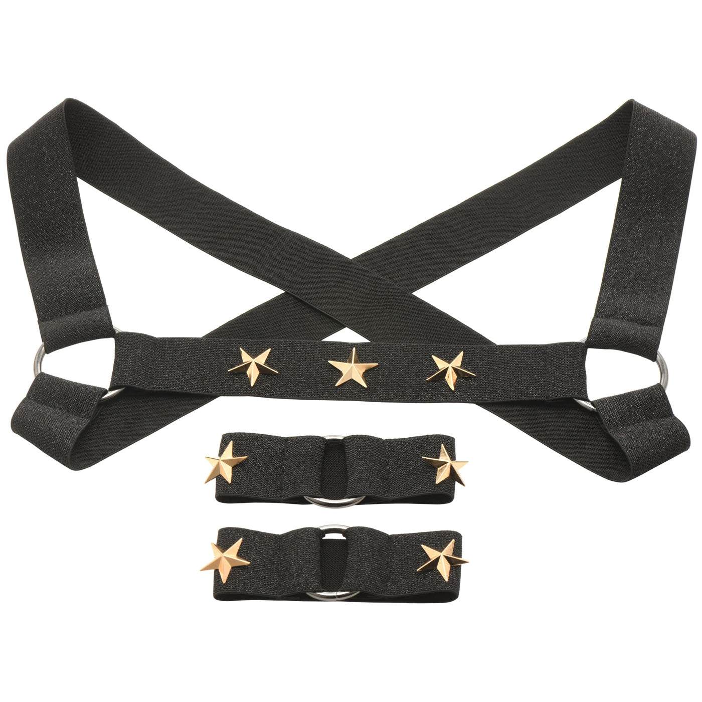 Black Star Boy Male Chest Harness with Arm Bands displaying metal star accents and O-Rings.