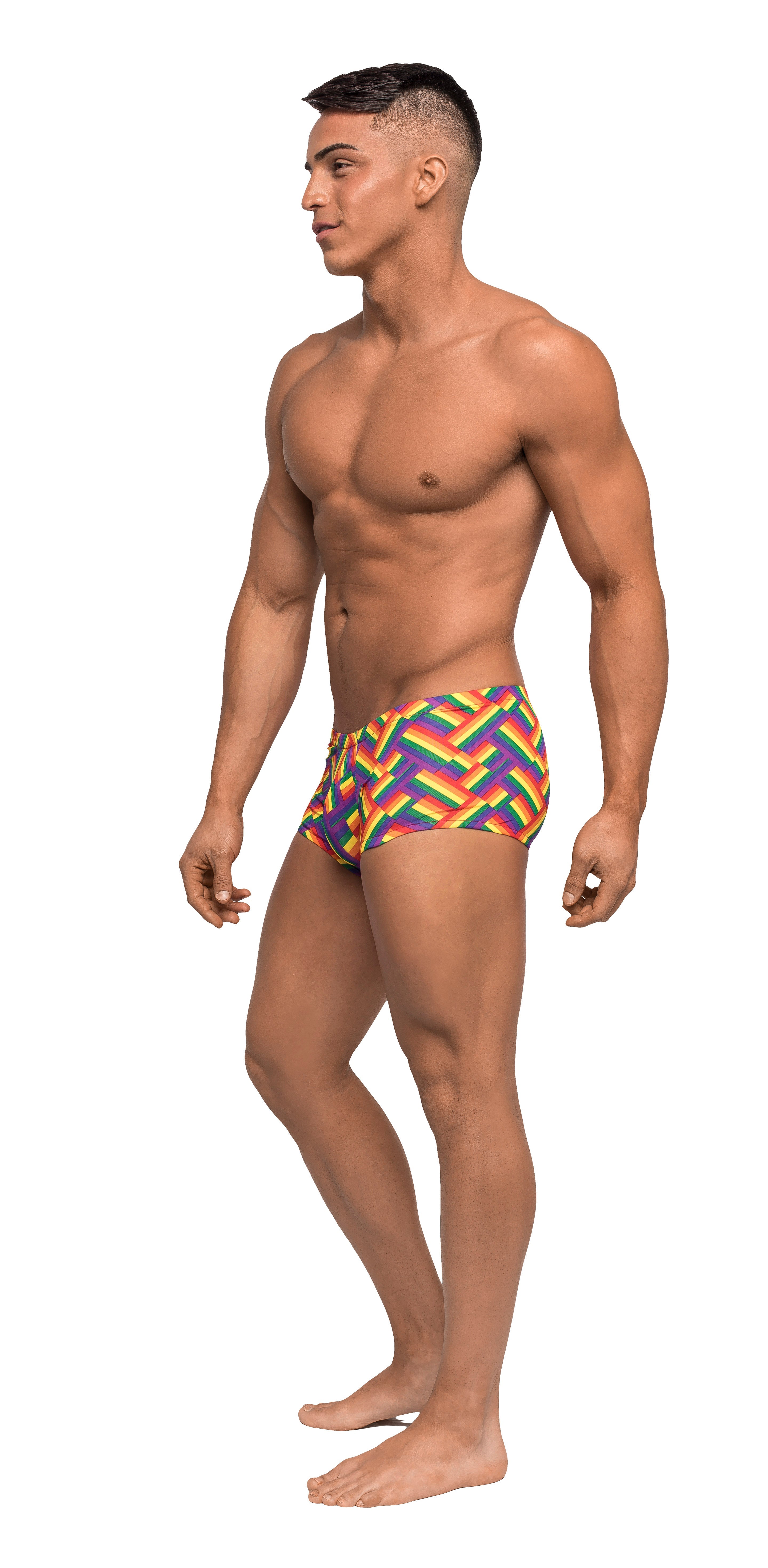 Pride Fest - Mini Short - Medium - Print by Apparel