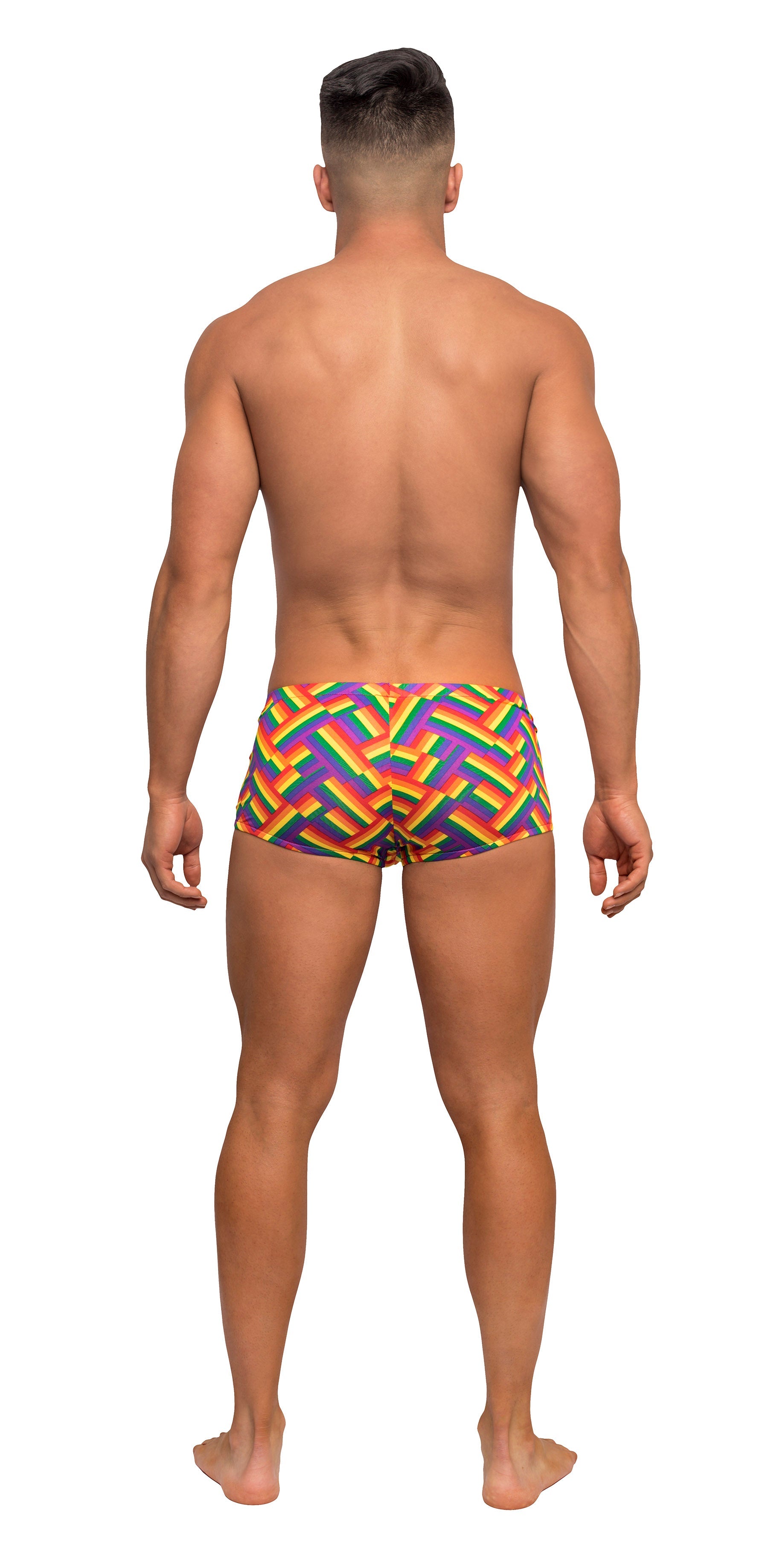 Pride Fest - Mini Short - Medium - Print by Apparel