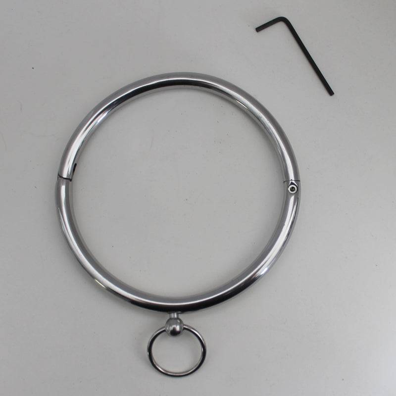 Silver stainless steel pet collar with D-ring and hex key tool on gray background
