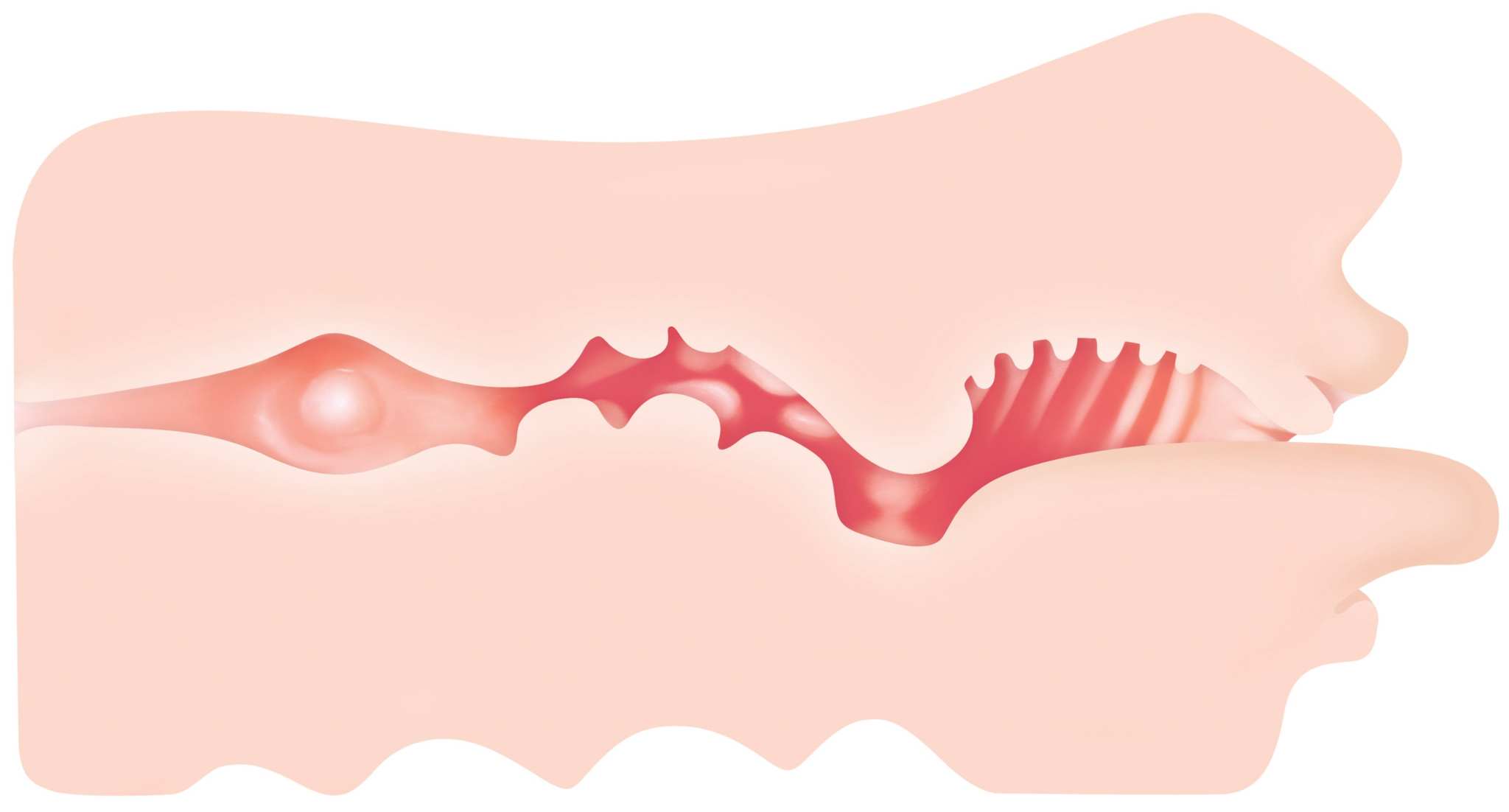 Realistic Real Mouth Stroker with tongue and life-like throat texture made of soft TPE, waterproof and flexible.