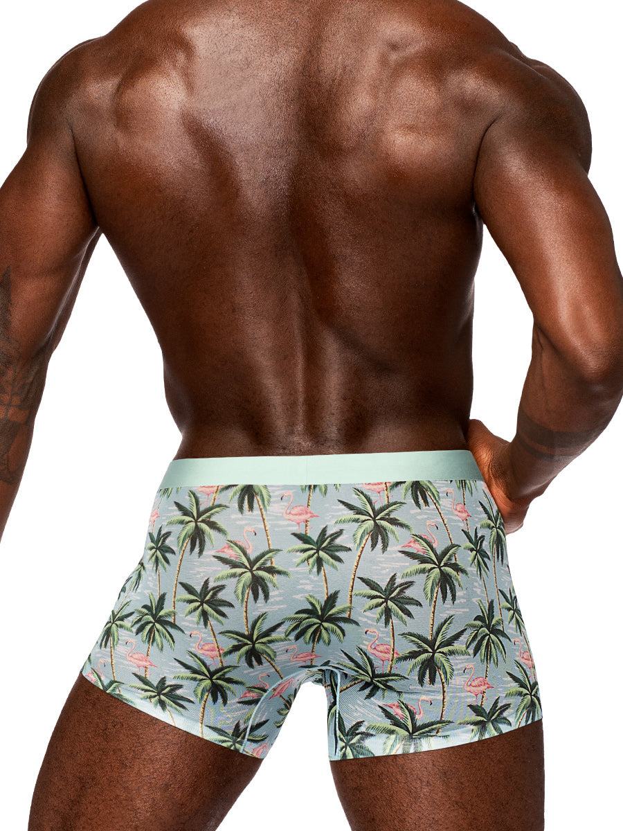 Sheer Prints seamless sheer shorts in flamingo design with palm trees on male model from back view, X-Large size