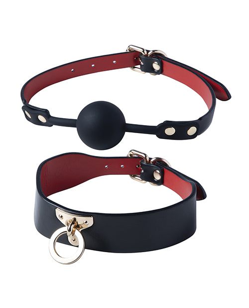 Black and red vegan leather ball gag and collar with ring from Kinky Play Box BDSM Kit