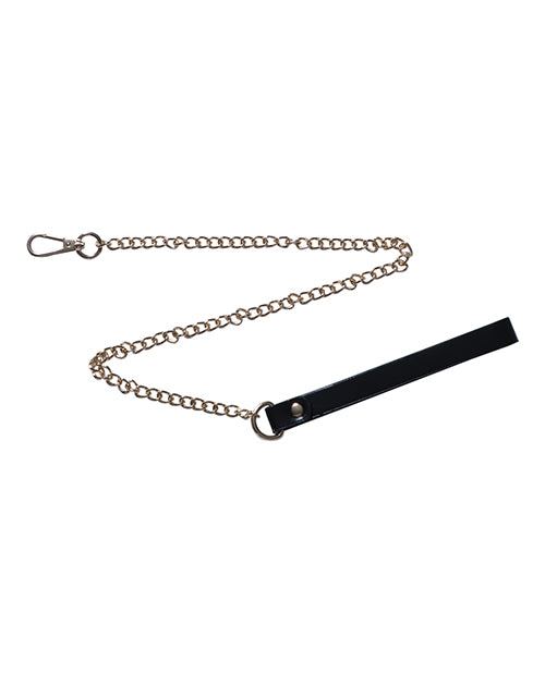 Black leash with metal chain from Kinky Play Box BDSM Kit bondage set