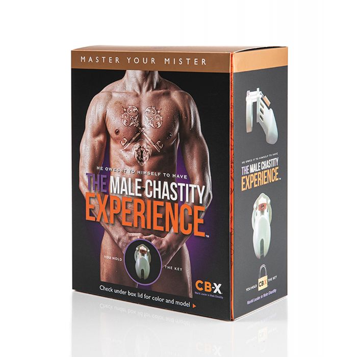 CB-3000 3" Cock Cage & Lock Set - Black by Bondage & Fetish Toys