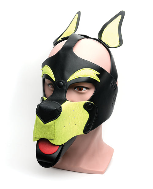 665 Playful Pup Hood - O/S Black/Yellow by Bondage & Fetish Toys