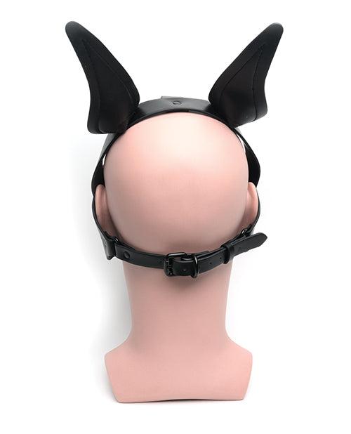 Back view of the 665 Playful Pup Hood in black with adjustable straps and pup ears.