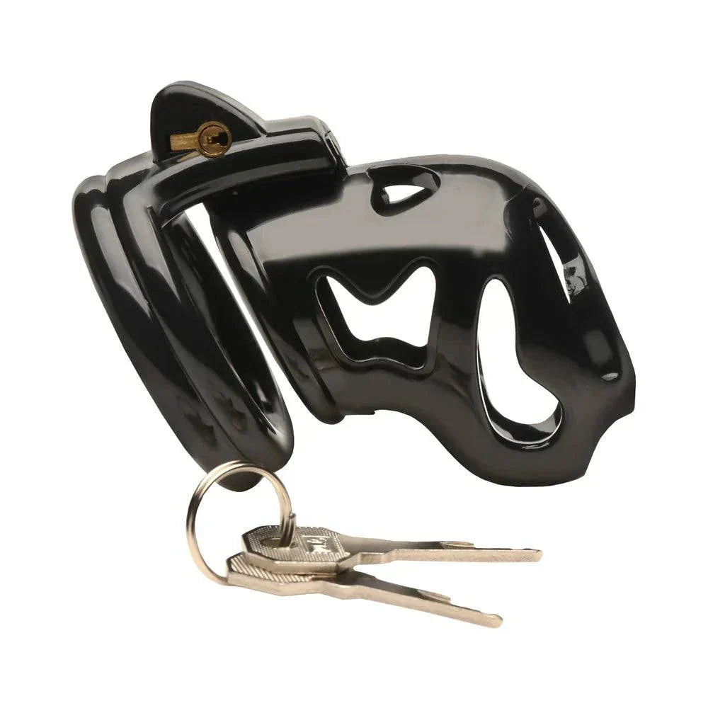 Master Series Double Ring Chastity Cage with keys, black plastic, novice-friendly design.