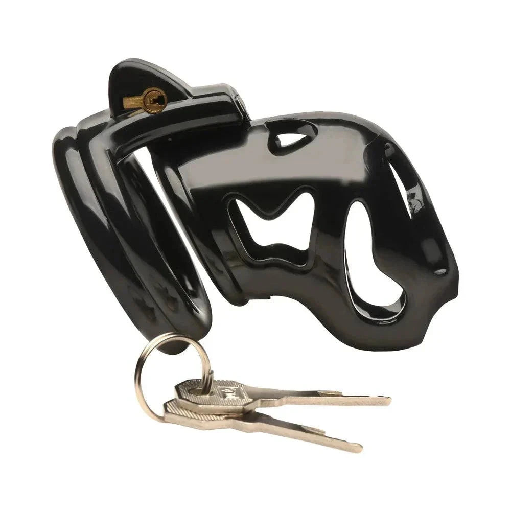 Master Series Double Ring Chastity Cage by Bondage & Fetish Toys