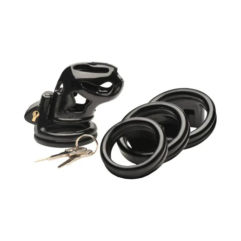 Master Series Double Ring Chastity Cage in black plastic with keys and adjustable rings for restraint and comfort.