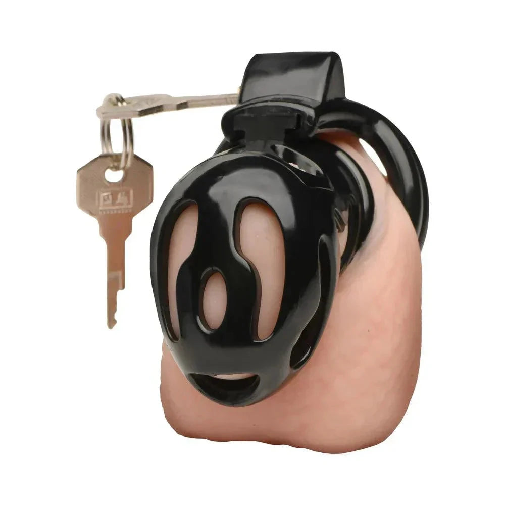 Master Series Double Ring Chastity Cage in black plastic with a secure locking mechanism and included keys.