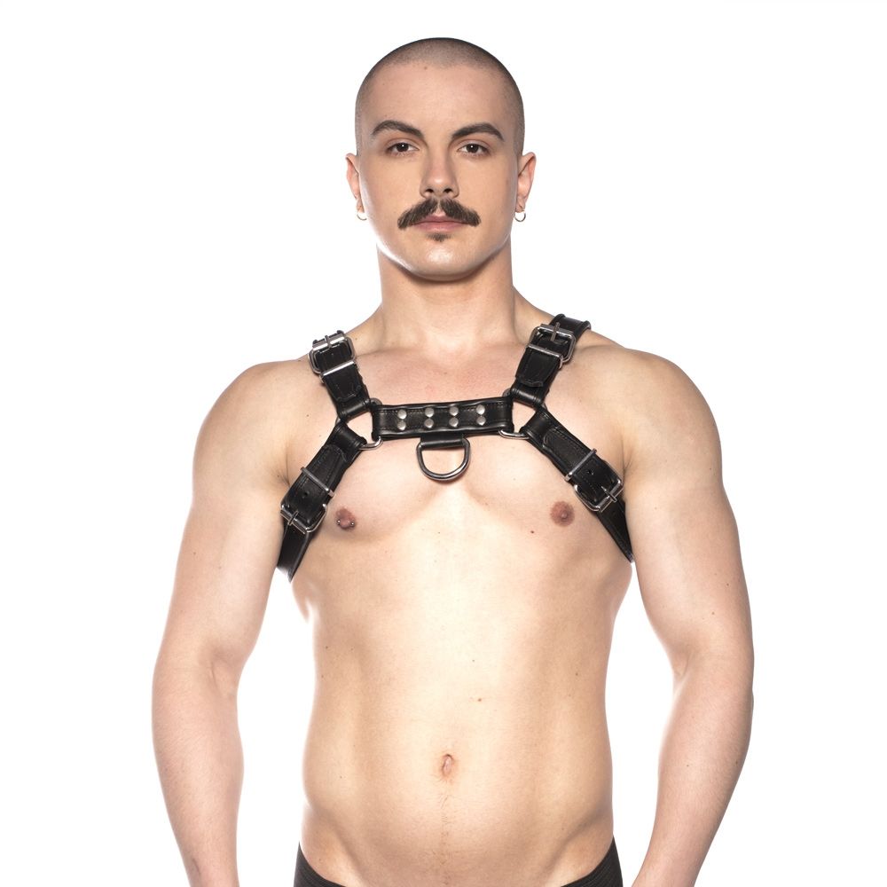 bull harness black — view 1