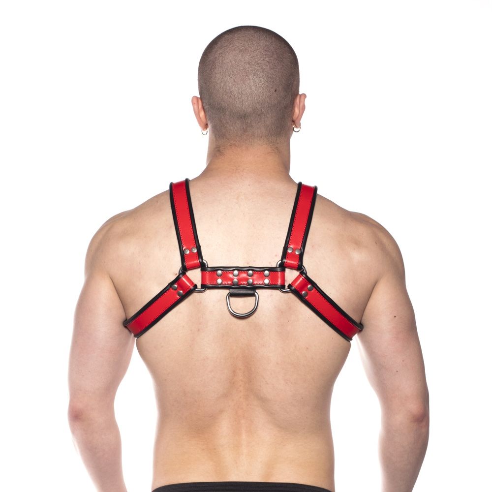 Prowler RED Bull Harness — view 3