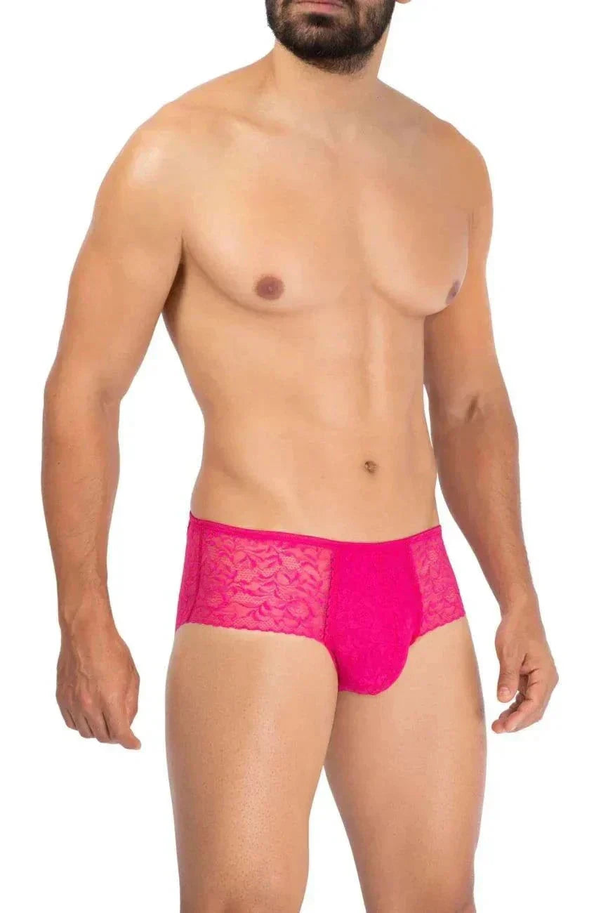 Prowler Lace Briefs by Apparel