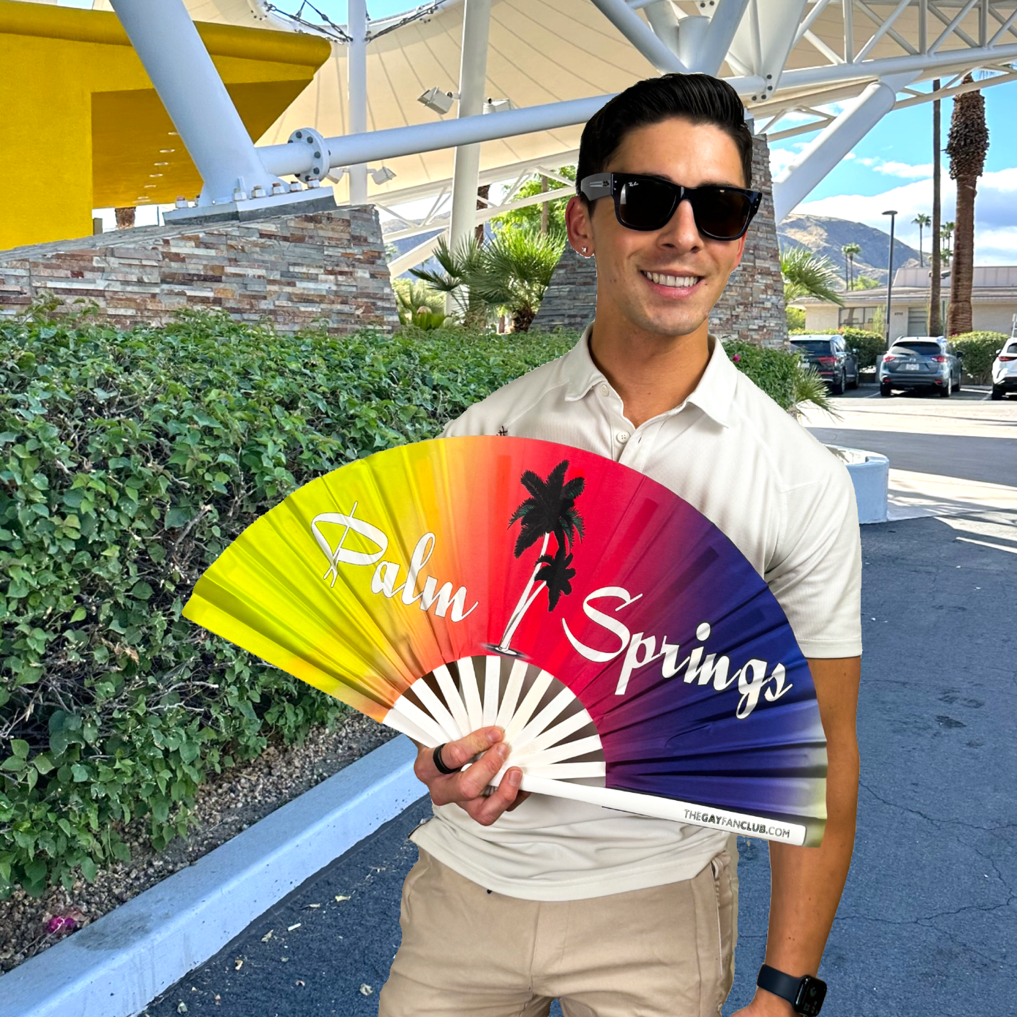 Palm Springs Fan