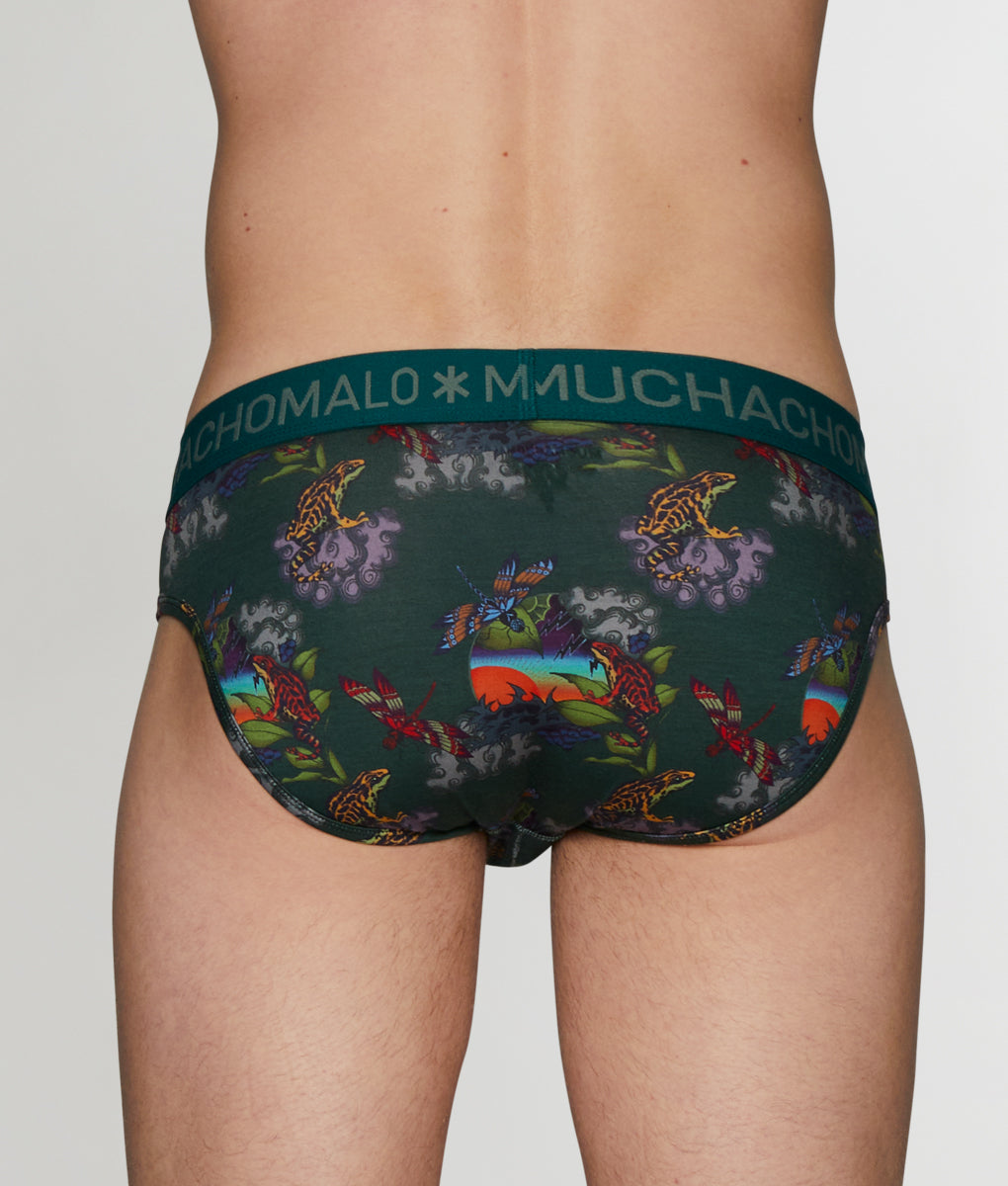 Muchachomalo Frogger Brief