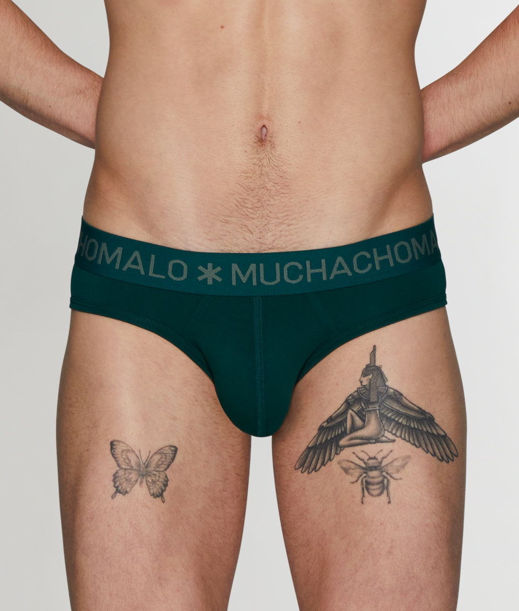 Muchachomalo Frogger Brief