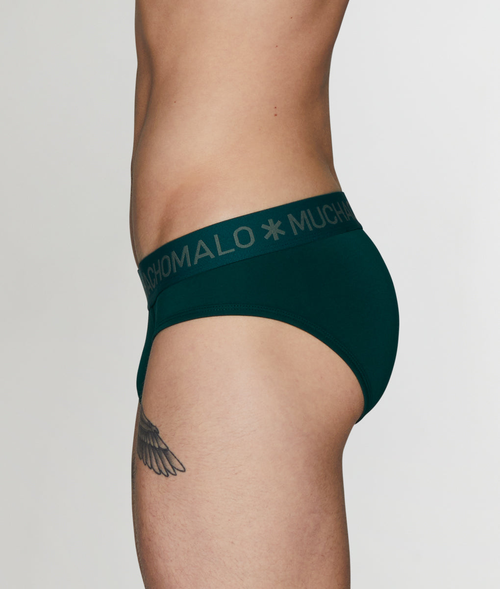 Muchachomalo Frogger Brief