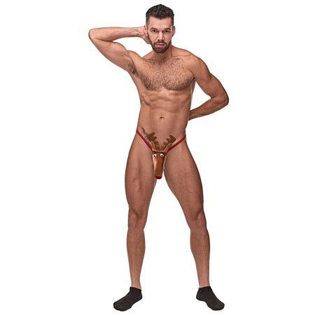 Male Power Novelty Rock Hard Rudy Brn 1SZ reindeer G-string underwear.
