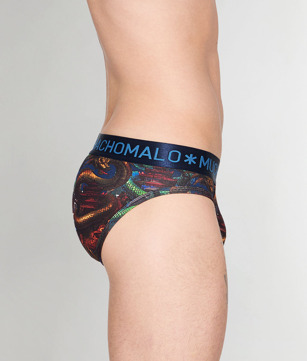 Muchachomalo Dragon Brief