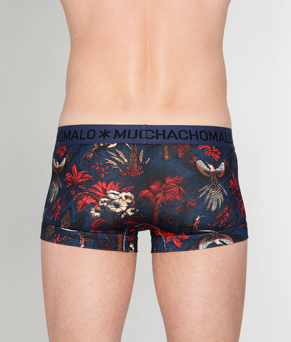 Muchachomalo Palm Birds Trunk