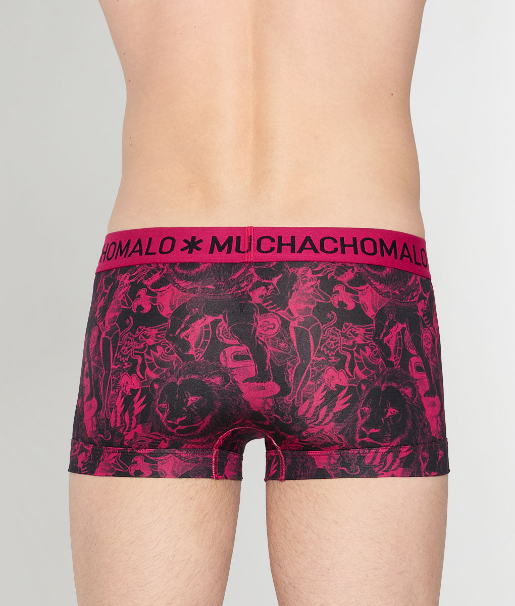Muchachomalo Kingkat Trunk