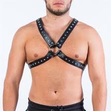 Harnesses