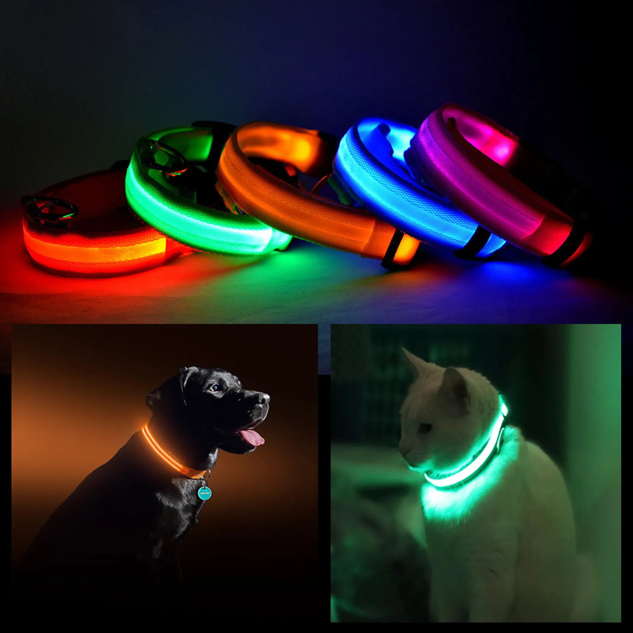 LED PET Safety Halo Style Collar - Pack Of: 1